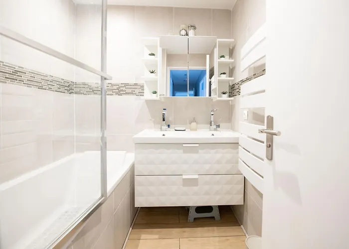 Elise De Roche Equipe Balcon Parking Rer B Appartement *